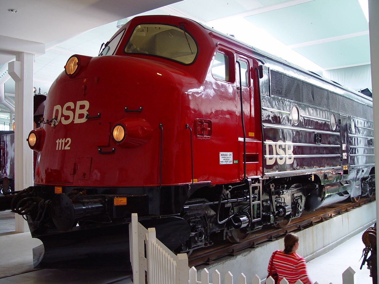 FUNET Railway Photography Archive: Denmark - Diesel locomotives and diesel  multiple units of DSB
