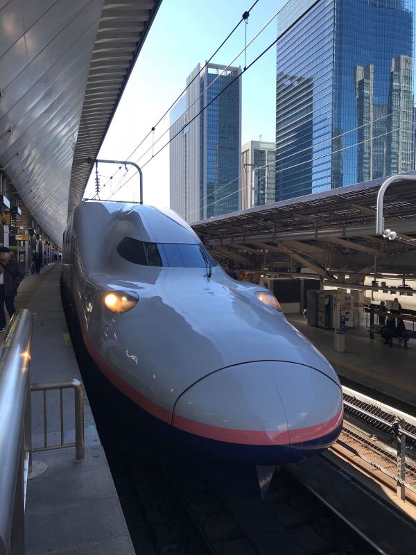 jp-jrw-joetsu_shinkansen_e4-tokyo-140118-vesakailanen-full.jpg